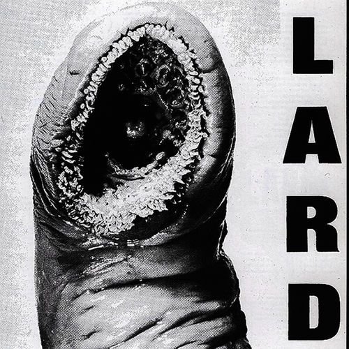Power Of Lard