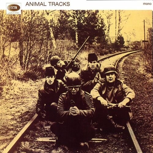Animal Tracks