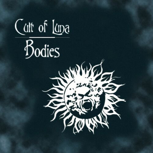 Bodies/Recluse