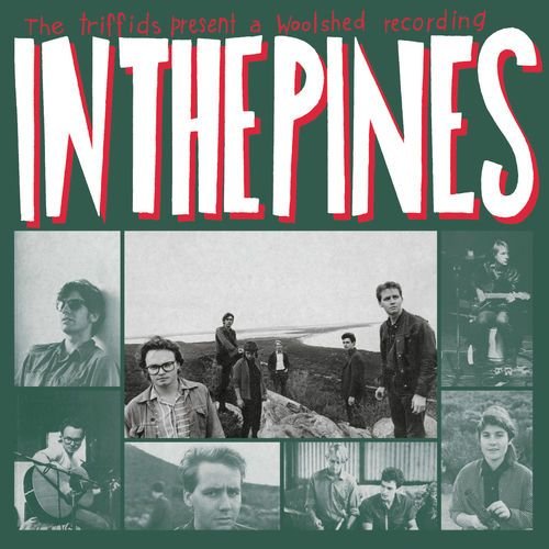 In the Pines