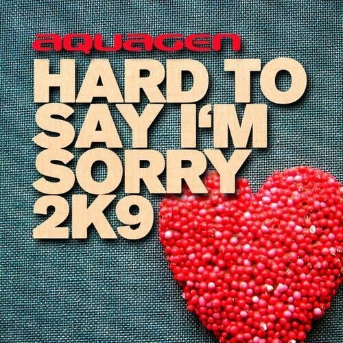 Hard to Say I'm Sorry 2K9