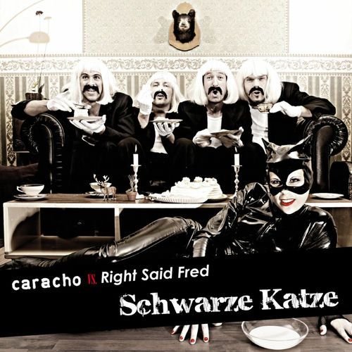Schwarze Katze