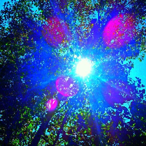 Bright Thing (Deluxe EP)