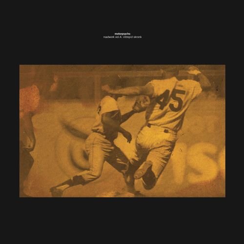 Roadwork, Vol. 4: Intrepid Skronk (Live In Europe 2008-2010)