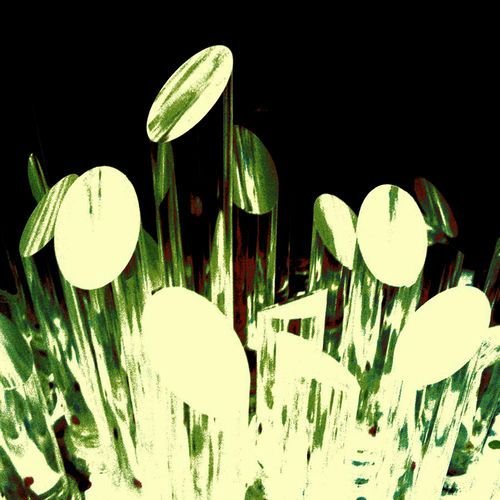Momentum EP