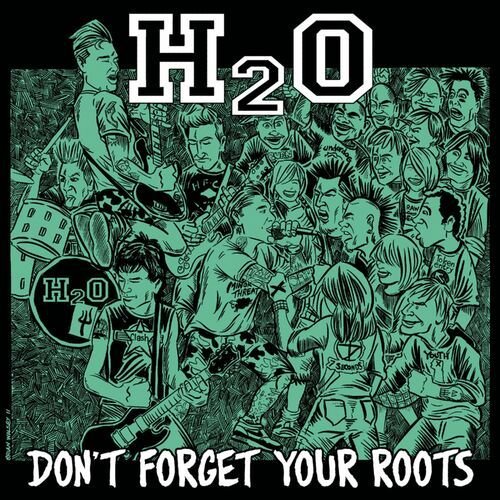 Don't Forget Your Roots