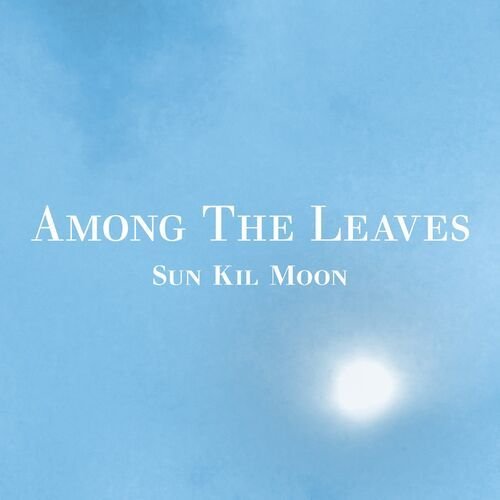 Among the Leaves de Sun Kil Moon — portada