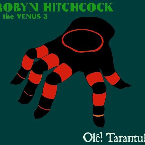 Olé! Tarantula