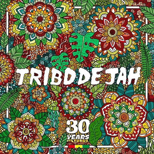 Come to the Vibe (30 Years)