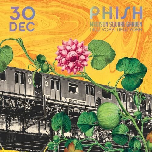 Phish: 12/30/2015 Madison Square Garden, New York, NY