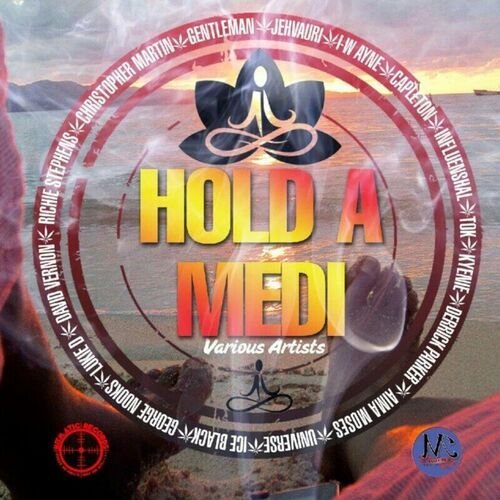 Hold a Medi Megamix