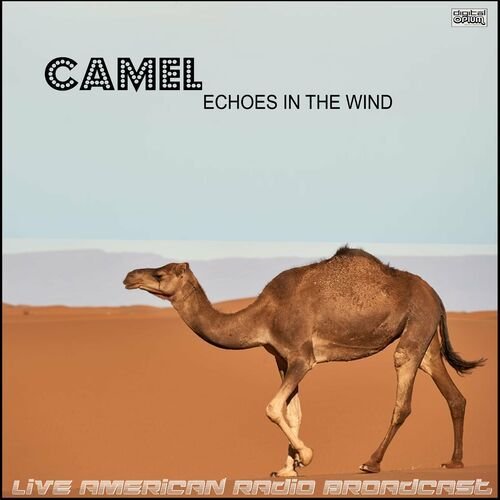 Echoes In The Wind (Live)