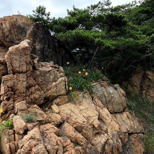 Restless Heart (在太行山上)