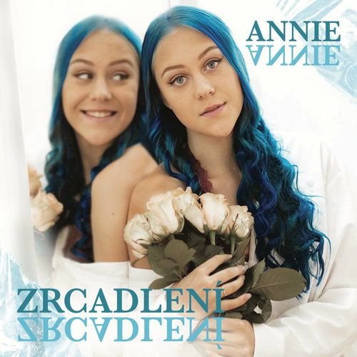 ZRCADLENÍ