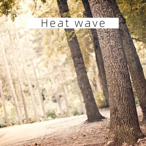 Heat wave