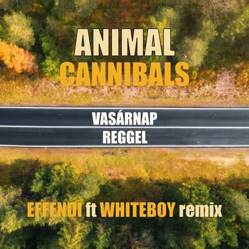 Vasárnap reggel (Effendi ft Whiteboy Remix)