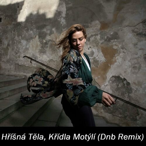 Hříšná Těla, Křídla Motýlí (Dnb Remix)