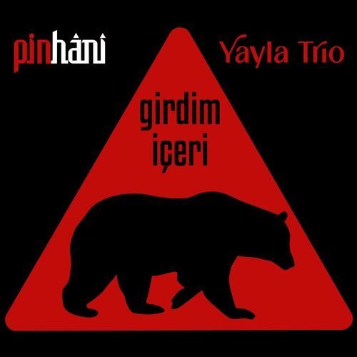Girdim İçeri