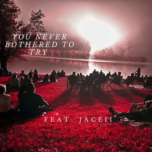 You Never Bothered To Try (feat. Jaceii)