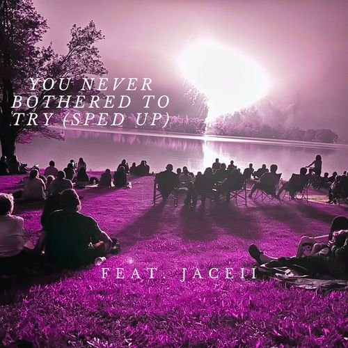 You Never Bothered To Try (feat. Jaceii) [Sped Up]