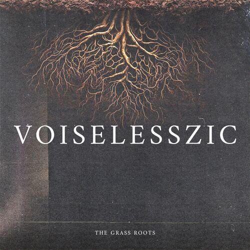 VOISELESSZIC