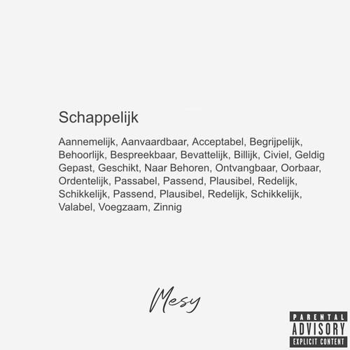 Schappelijk