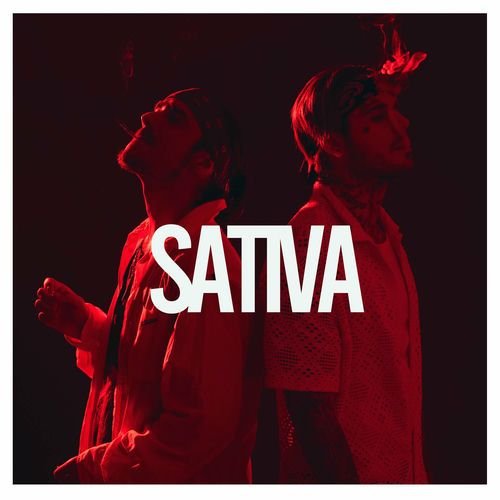 Sativa