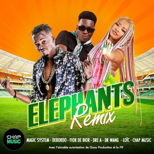 Elephants (Dr Wang Remix)