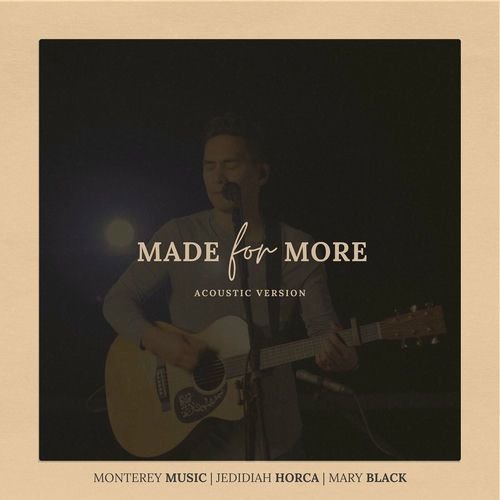 Made for More (Acoustic Version)