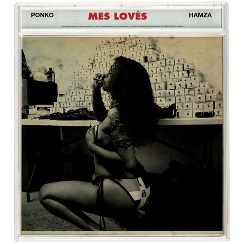 Mes Lovés de Hamza — portada