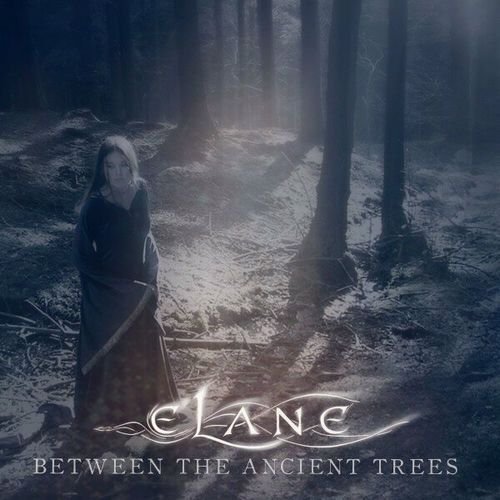 Between the Ancient Trees