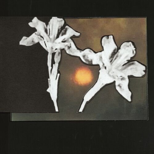 Loving You / Don't Let Me Go