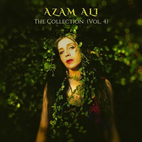 The Collection, Vol. 4