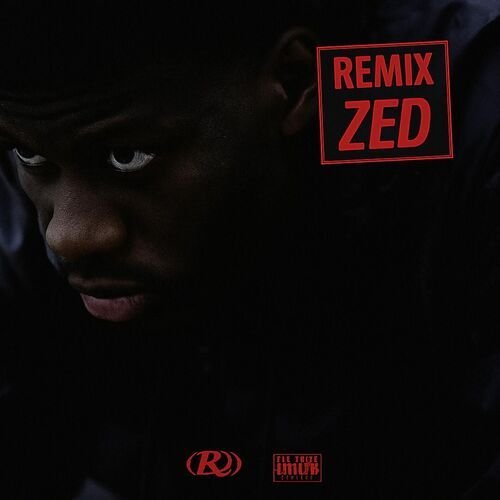 C'EST RELOU (Remix)