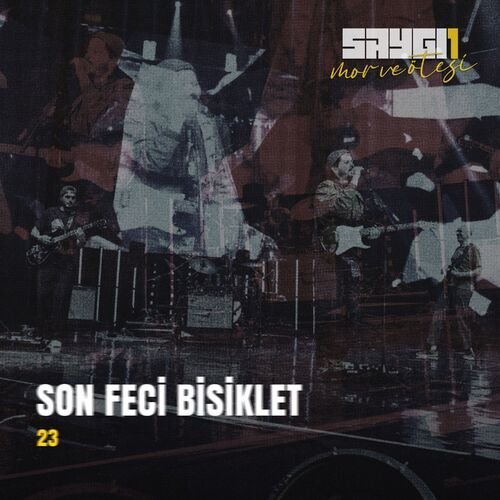 23 (Saygi1)