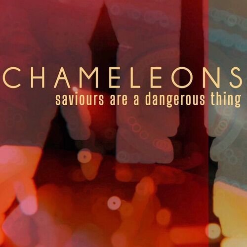 Saviours Are a Dangerous Thing