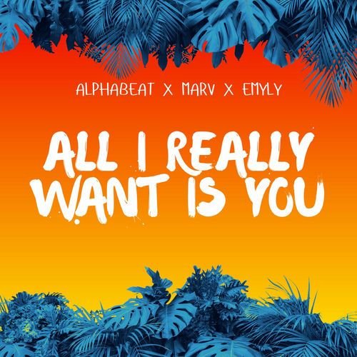 All I Really Want Is You