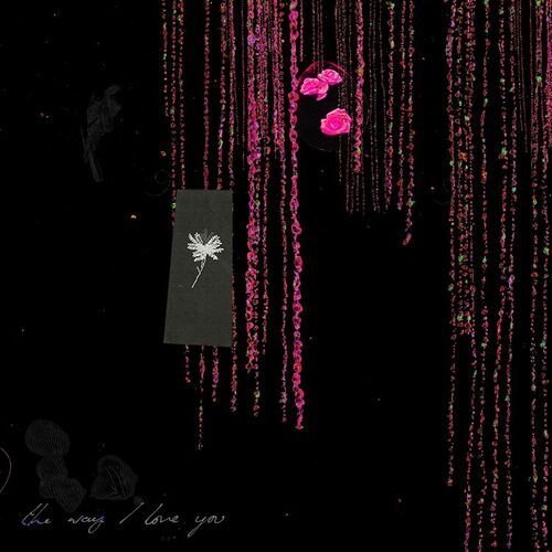 The Way I Love You (Remixes)