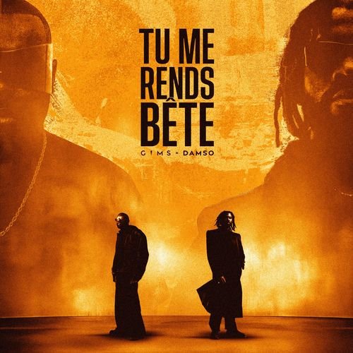 TU ME RENDS BÊTE de Damso — portada