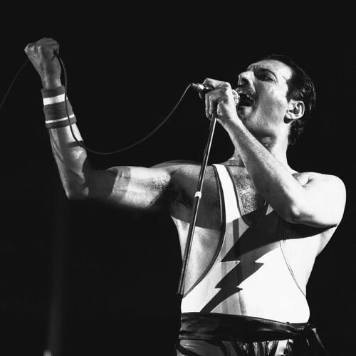 Freddie Mercury — foto oficial