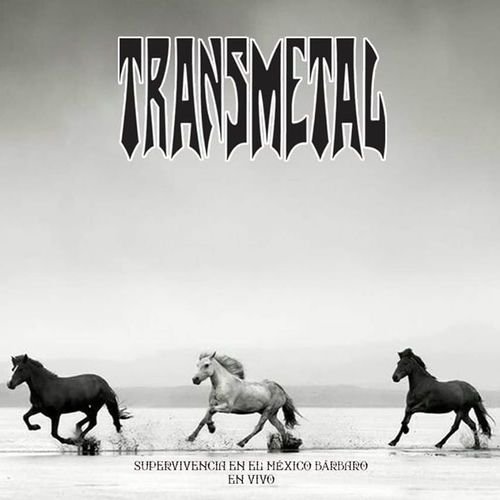Transmetal